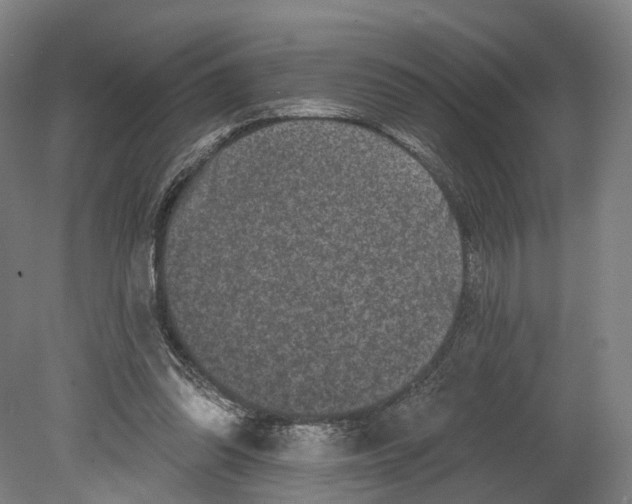 X0000080690302200701051107