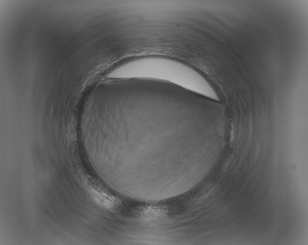 X0000080690303200701051107