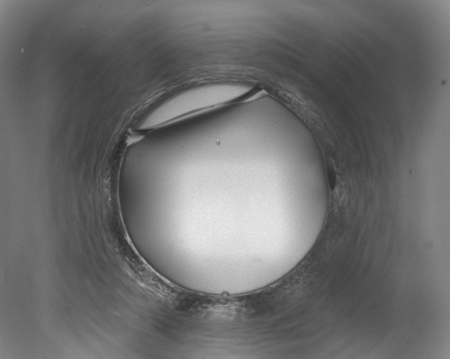 X0000080690306200701051107