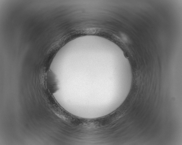 X0000080690307200701051107