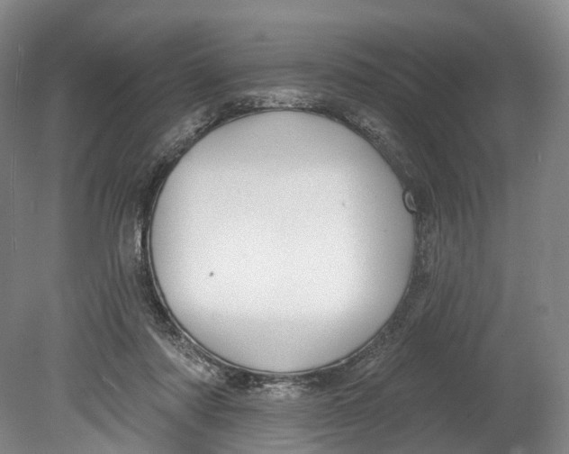 X0000080690310200701051107