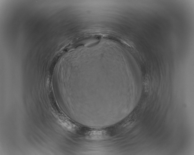 X0000080690314200701051107