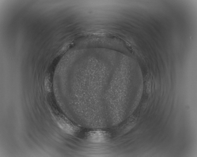 X0000080690316200701051107