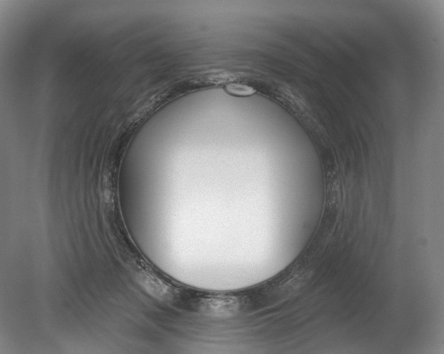 X0000080690317200701051107