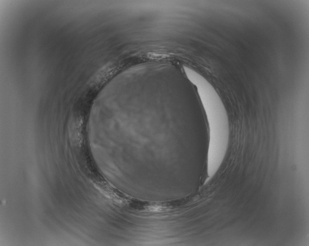 X0000080690319200701051107