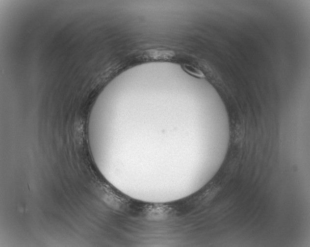 X0000080690321200701051107