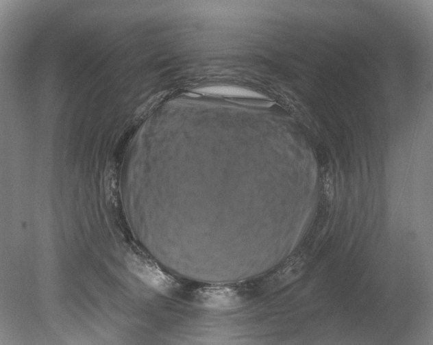 X0000080690322200701051107