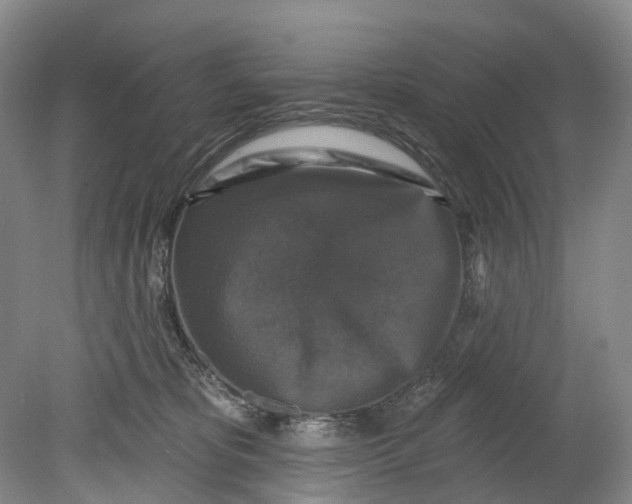 X0000080690325200701051107