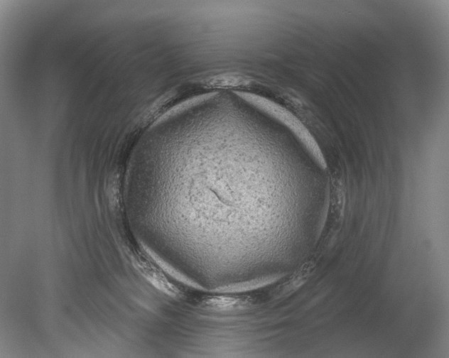 X0000080690326200701051107