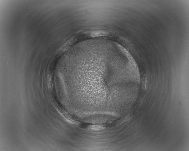 X0000080690327200701051107