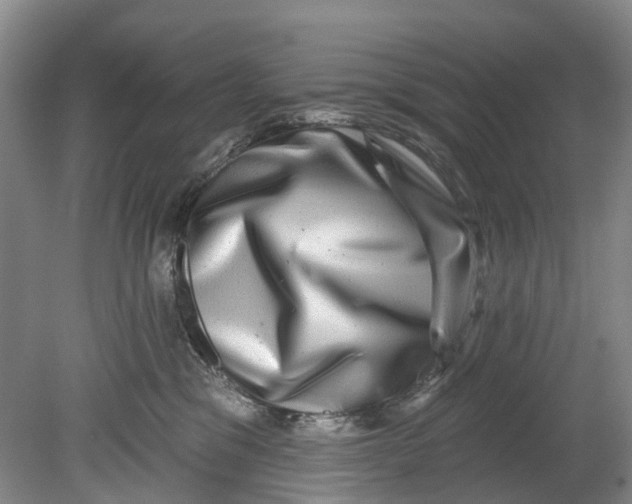 X0000080690329200701051106