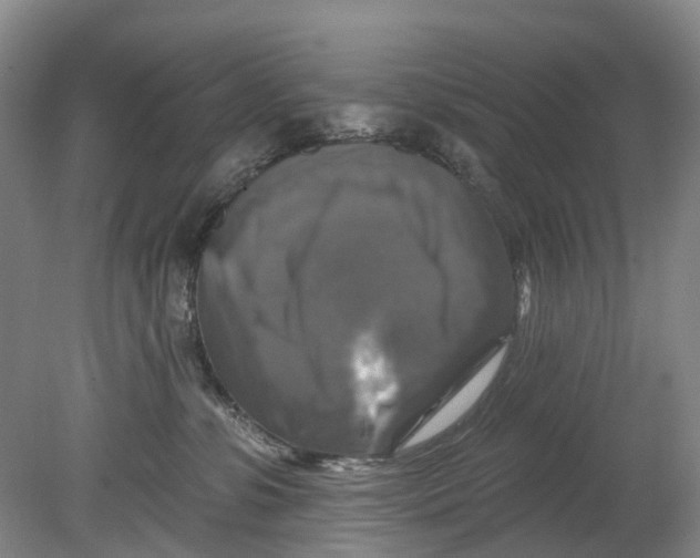 X0000080690331200701051106
