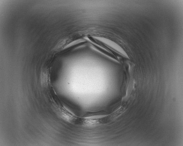 X0000080690333200701051106