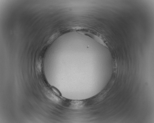 X0000080690334200701051106