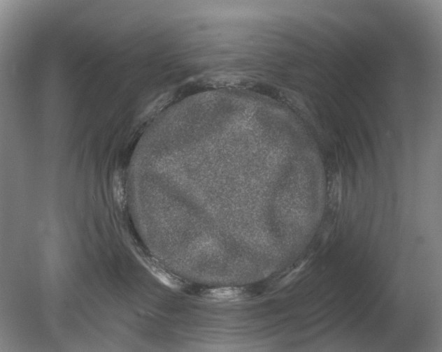 X0000080690335200701051106