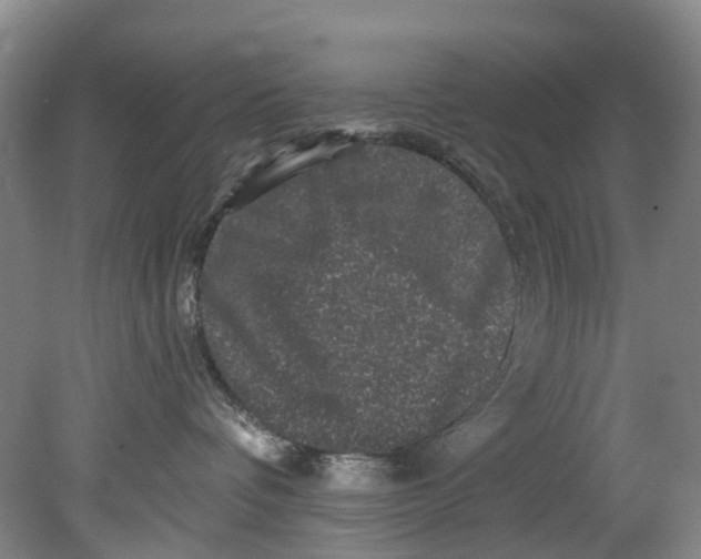 X0000080690336200701051106