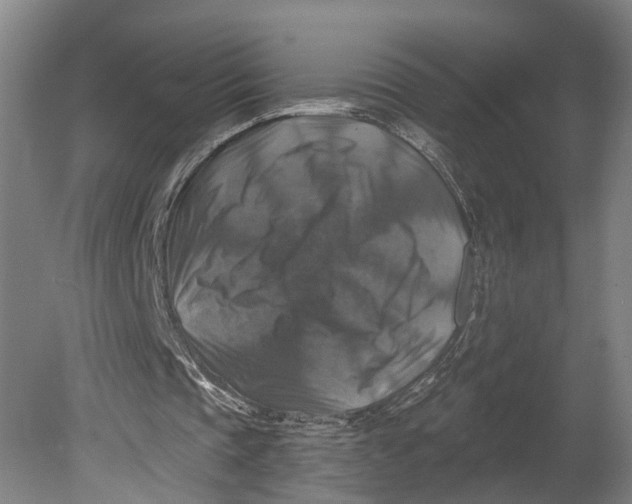 X0000080690337200701051106