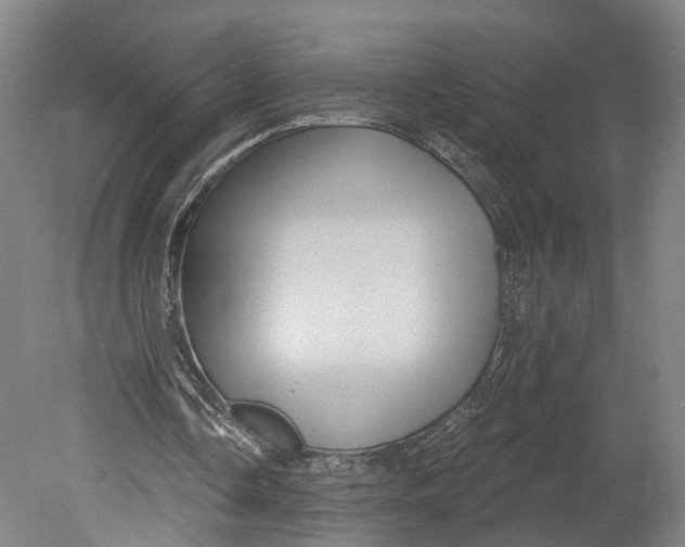 X0000080690338200701051106