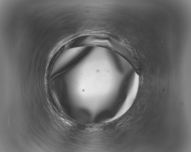 X0000080690340200701051106