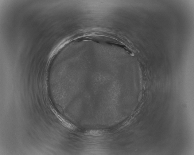 X0000080690341200701051106