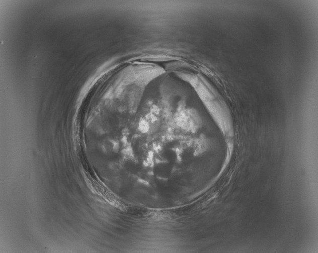 X0000080690343200701051106