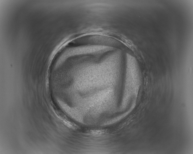 X0000080690344200701051106