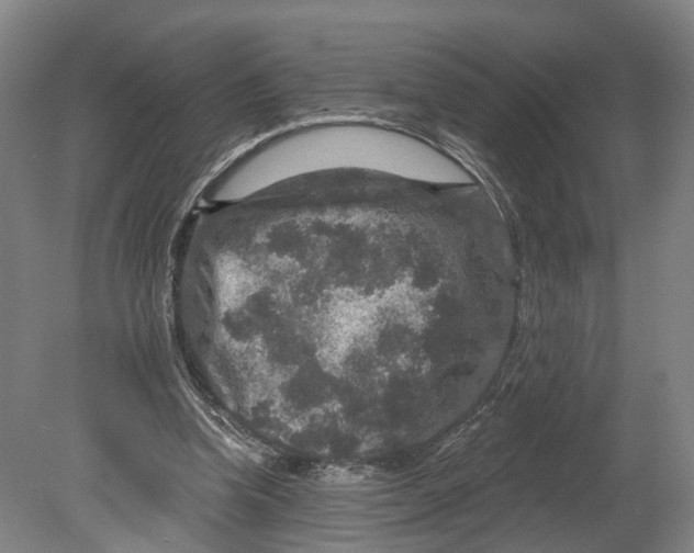 X0000080690346200701051106