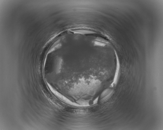 X0000080690347200701051106