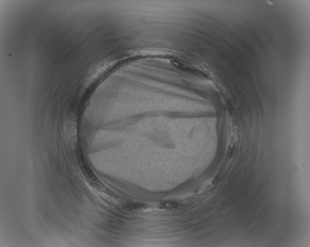 X0000080690348200701051106