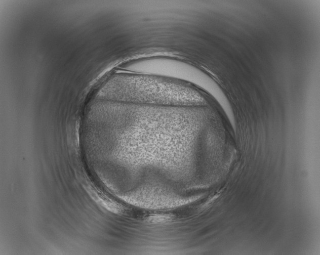 X0000080690350200701051106