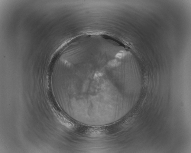 X0000080690351200701051106