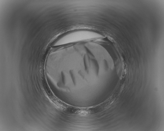 X0000080690352200701051106