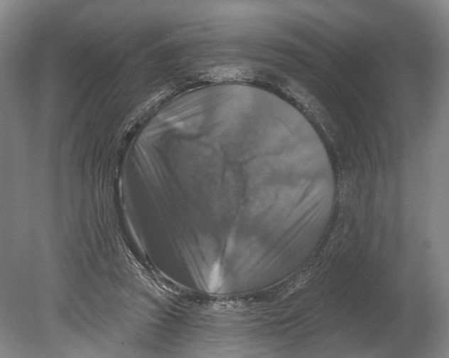 X0000080690353200701051106