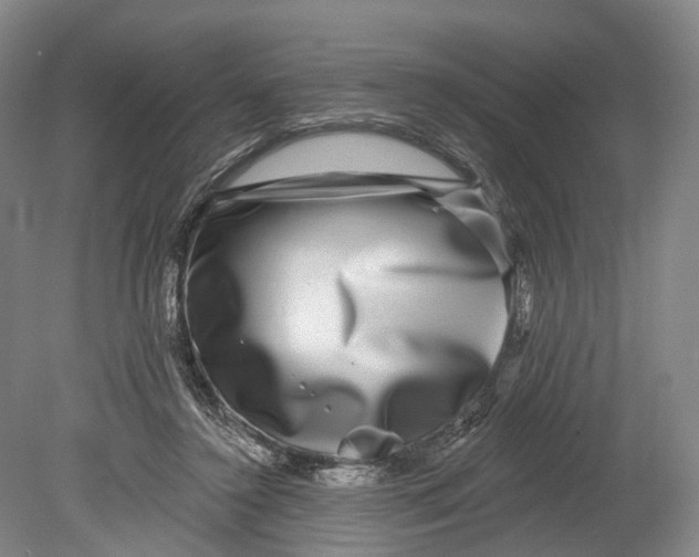 X0000080690356200701051106