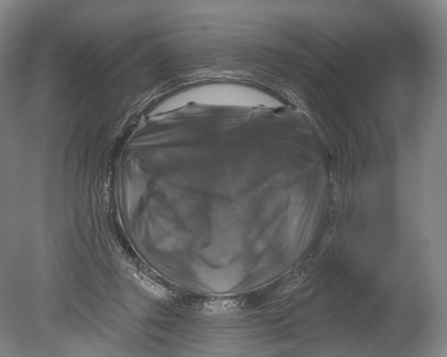 X0000080690357200701051106