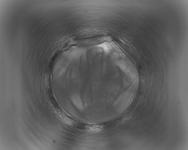 X0000080690359200701051106
