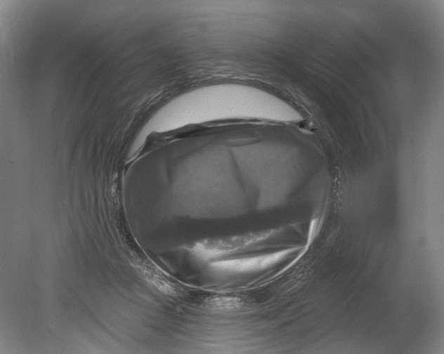 X0000080690361200701051106