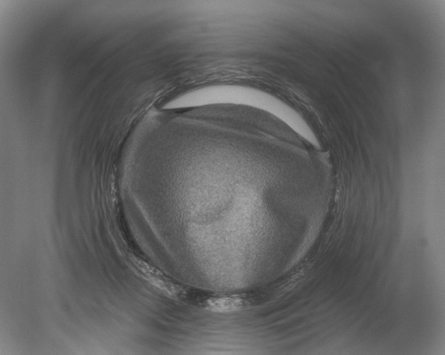 X0000080690362200701051106