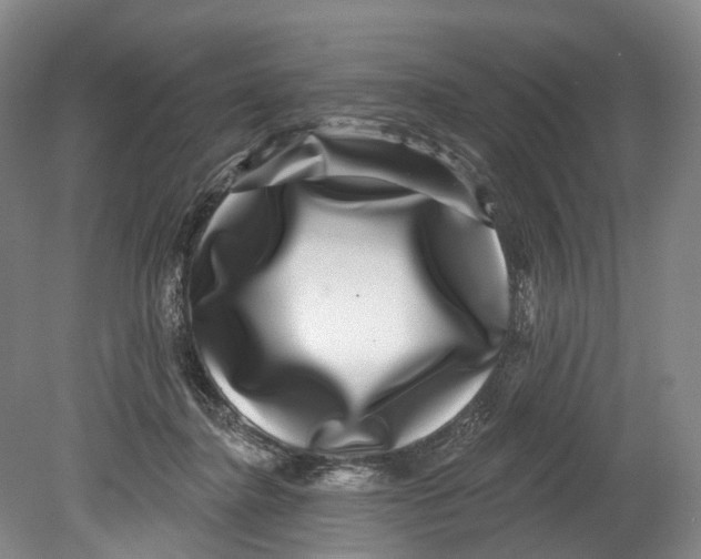 X0000080690364200701051106