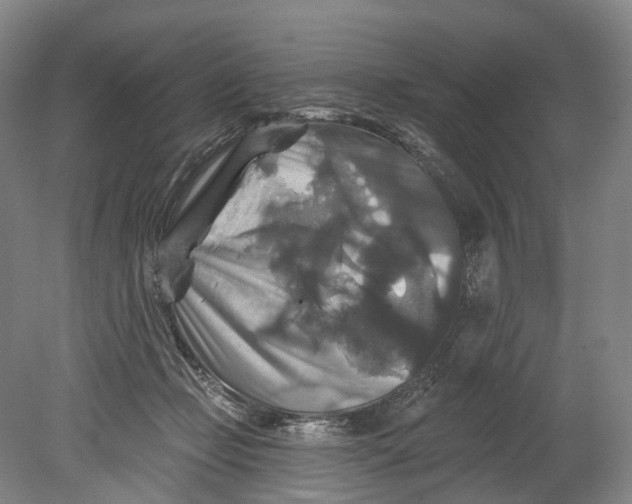X0000080690365200701051106