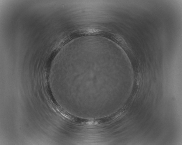 X0000080690366200701051106