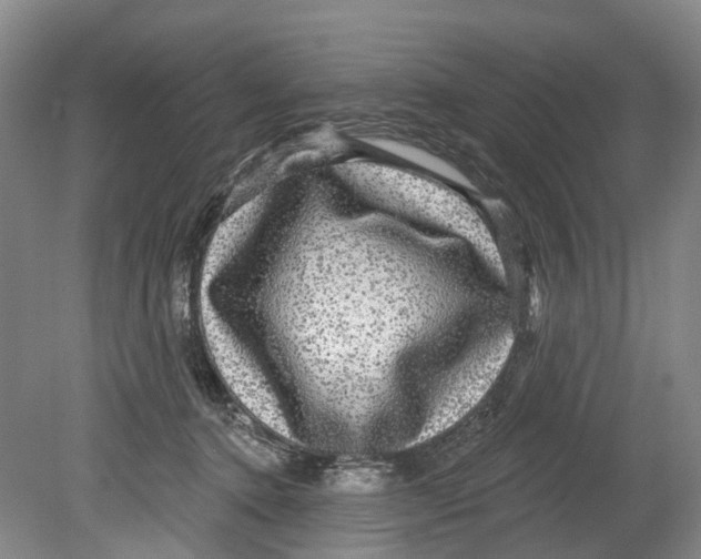 X0000080690368200701051106