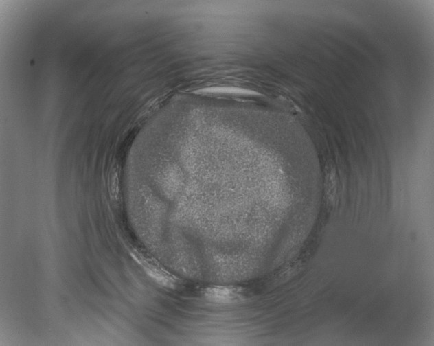 X0000080690375200701051106