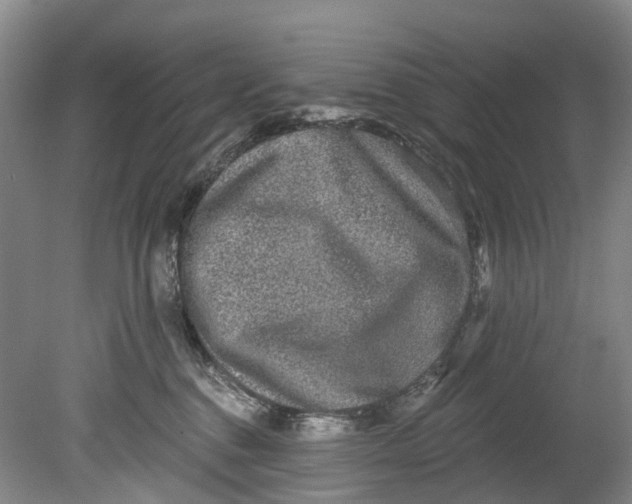 X0000080690376200701051106