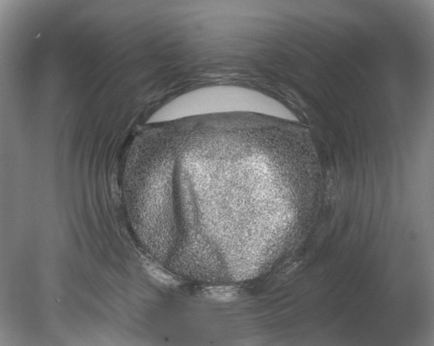 X0000080690377200701051106