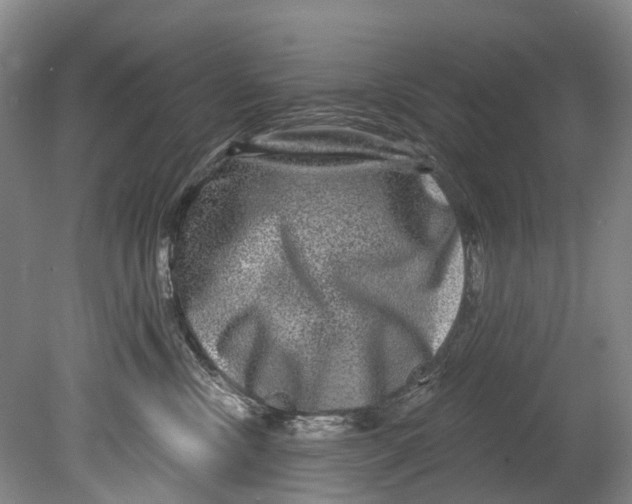 X0000080690378200701051106