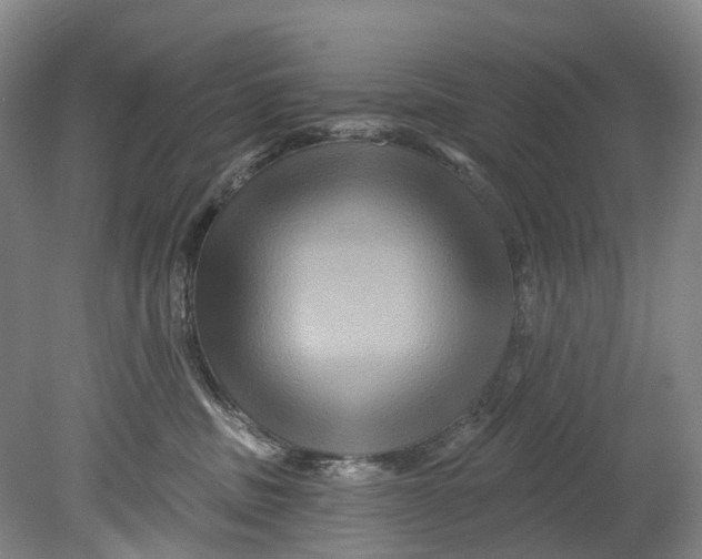 X0000080690379200701051106