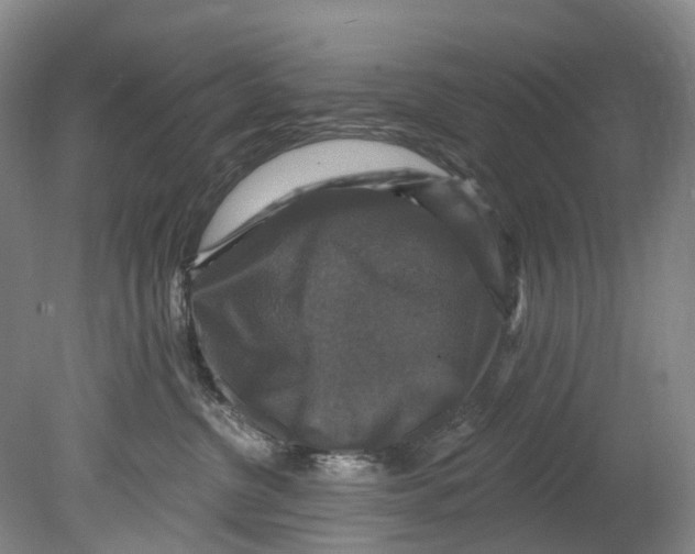 X0000080690380200701051106