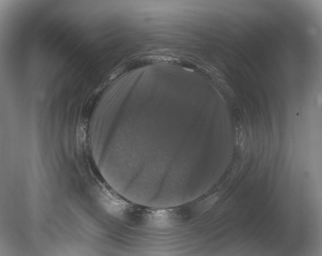 X0000080690382200701051106