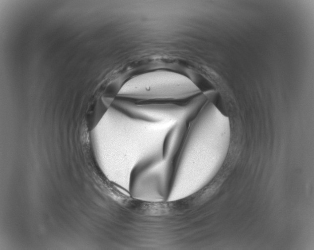 X0000080690384200701051106